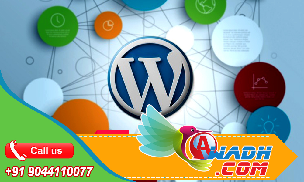 Website Designing Company in India