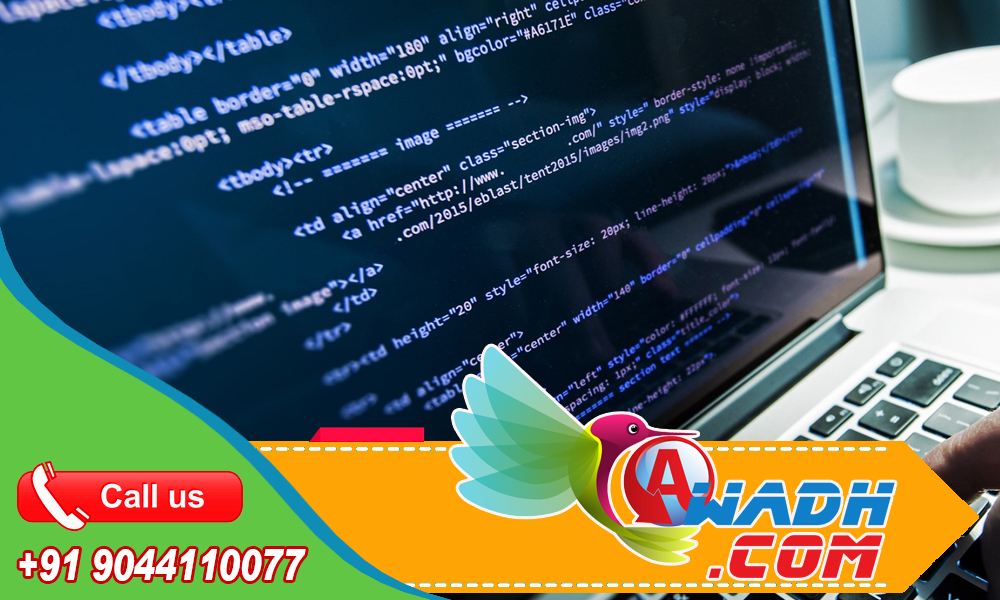Website Designing Company in India